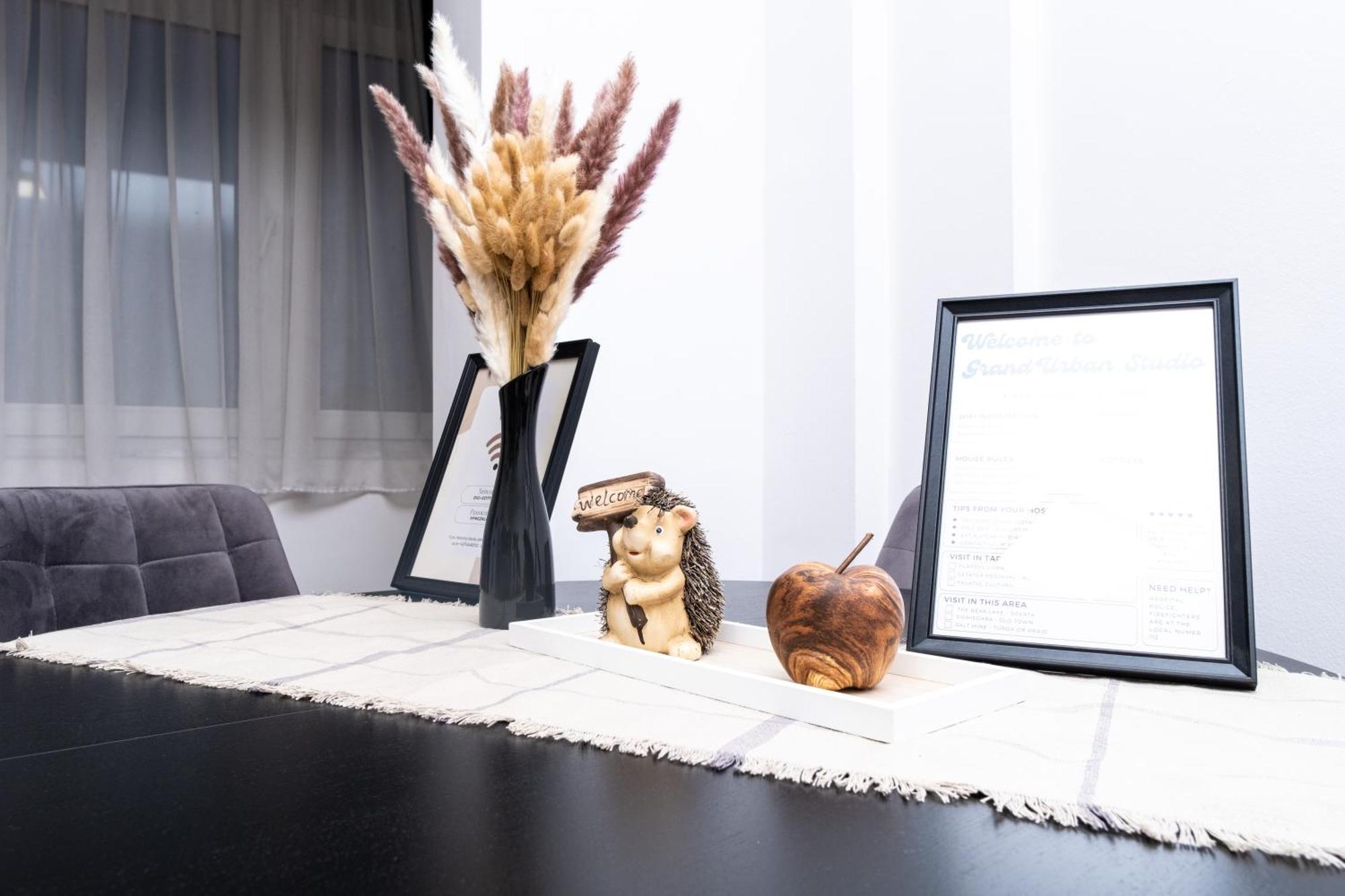 Grand Urban Studio Târgu-Mureş Zewnętrze zdjęcie